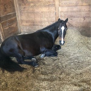 Meet your Posher, Hope